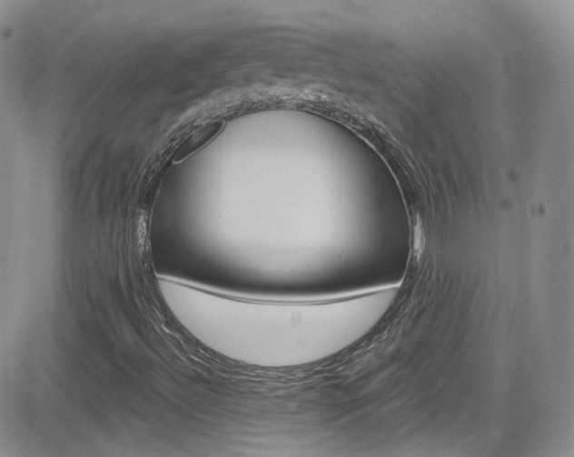 X0000082711492200701260942