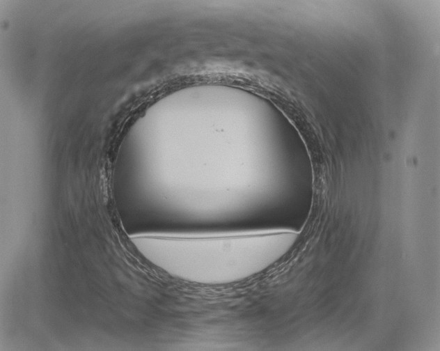 X0000082711493200701260942