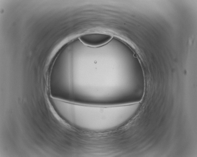 X0000082711515200701260942