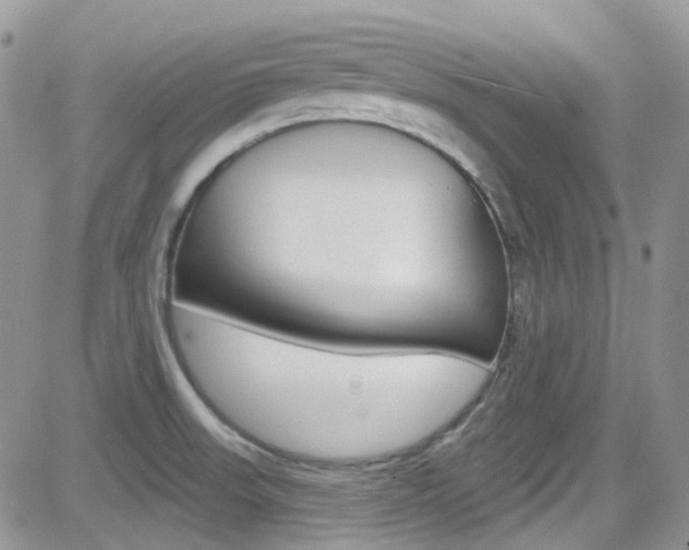 X0000082711523200701260942