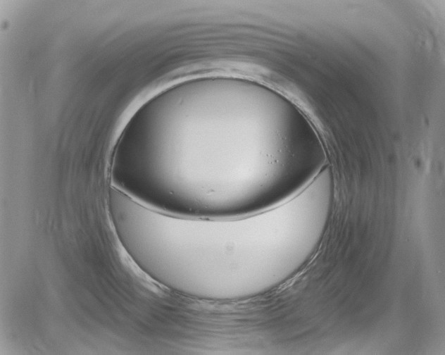 X0000082711532200701260942