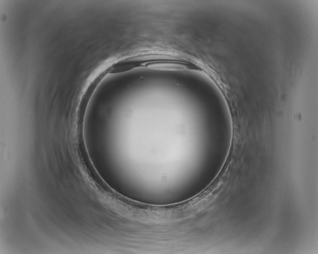 X0000082710008200701261322