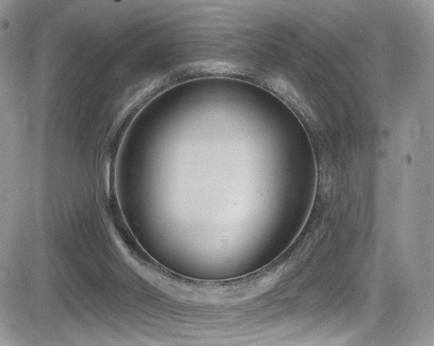 X0000082710014200701261322