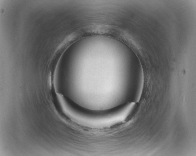 X0000082710020200701261322