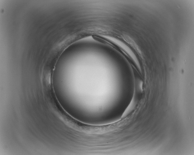 X0000082710021200701261322
