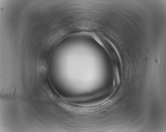 X0000082710040200701261322