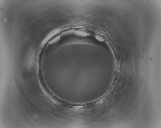X0000082710054200701261321