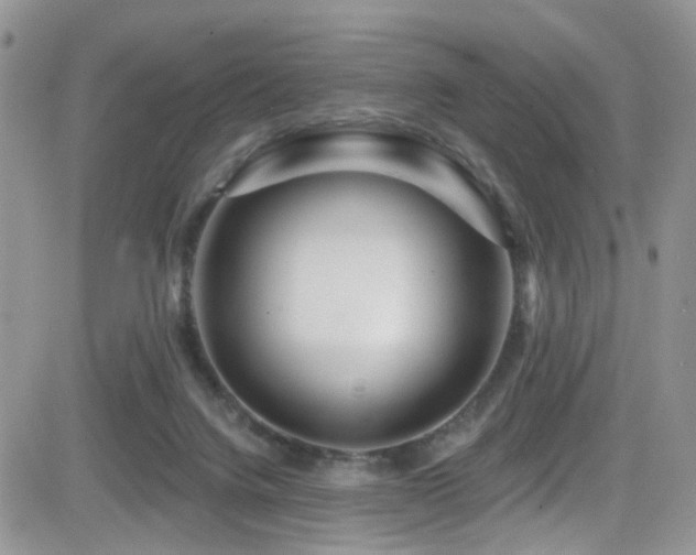 X0000082710072200701261321