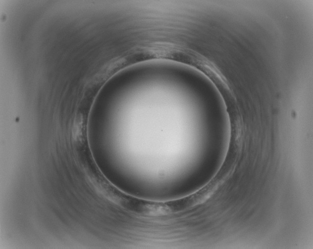 X0000082710073200701261321