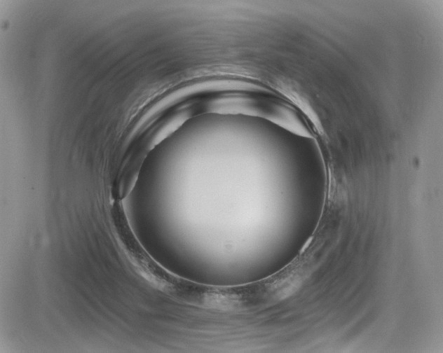 X0000082710109200701261321