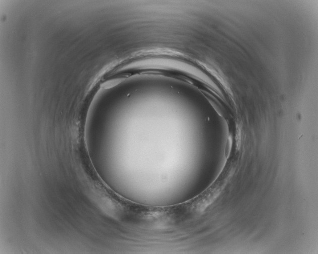 X0000082710111200701261321