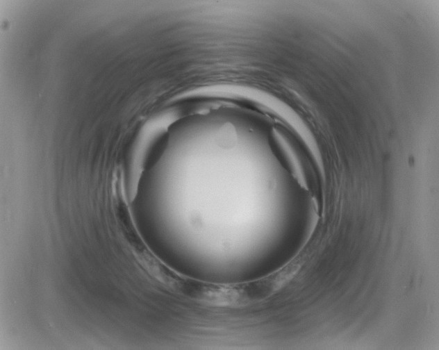 X0000082710125200701261320