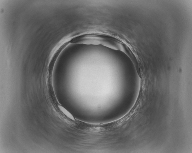 X0000082710152200701261319