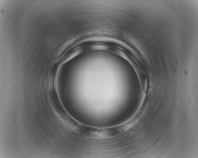 X0000082710164200701261320