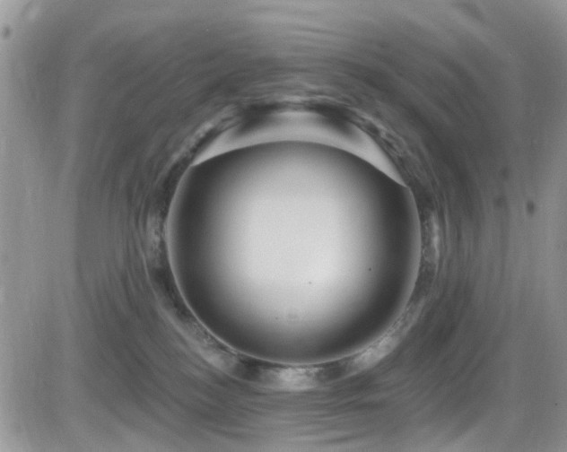 X0000082710184200701261320