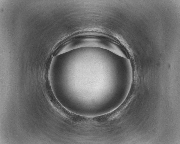 X0000082710201200701261319