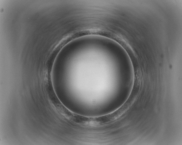 X0000082710212200701261319