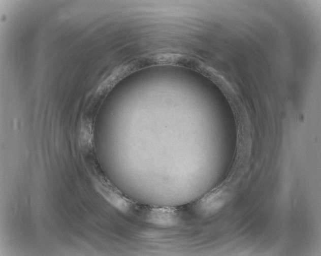 X0000082710240200701261318