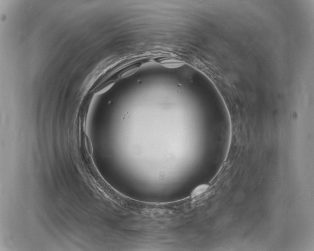 X0000082710242200701261318