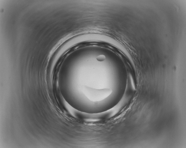 X0000082710244200701261318