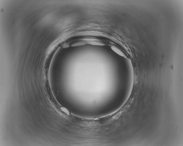 X0000082710245200701261318