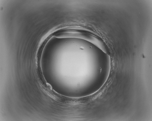 X0000082710246200701261318