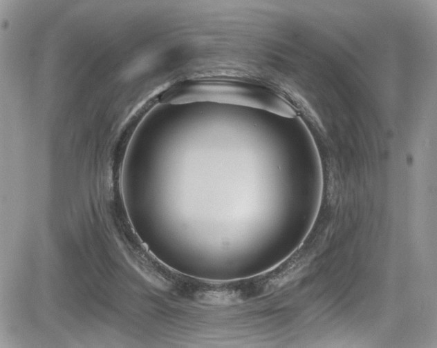 X0000082710251200701261318
