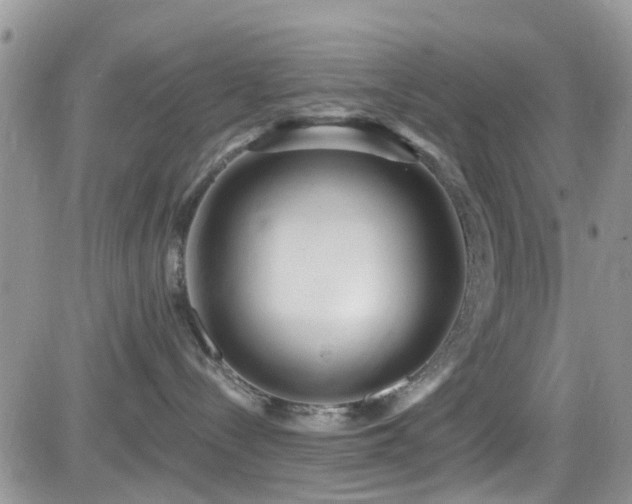X0000082710288200701261318