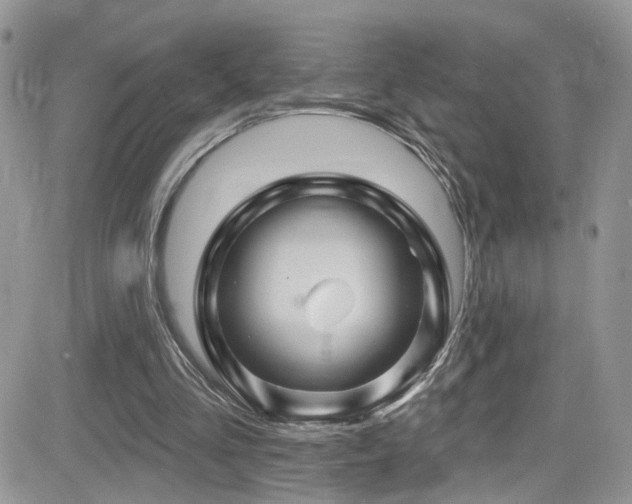 X0000082710293200701261318