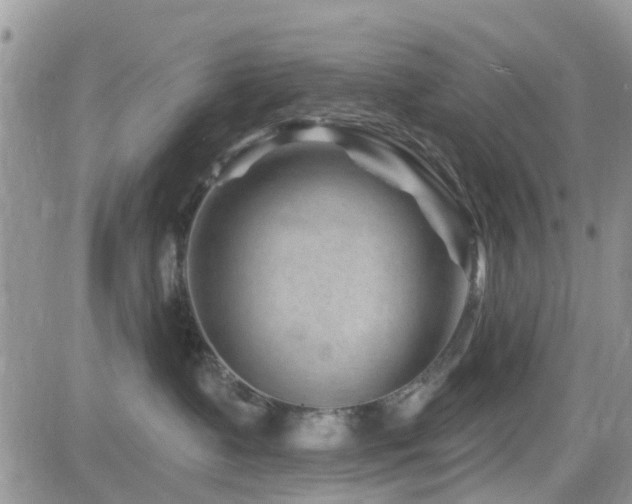 X0000082710335200701261317