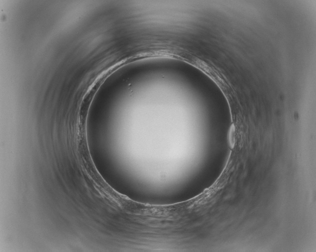 X0000082710338200701261316