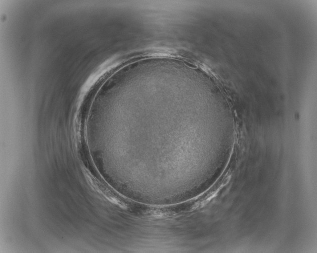X0000082710343200701261316