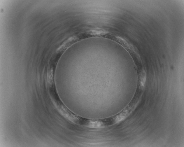 X0000082710376200701261317