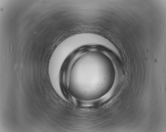 X0000082710384200701261317
