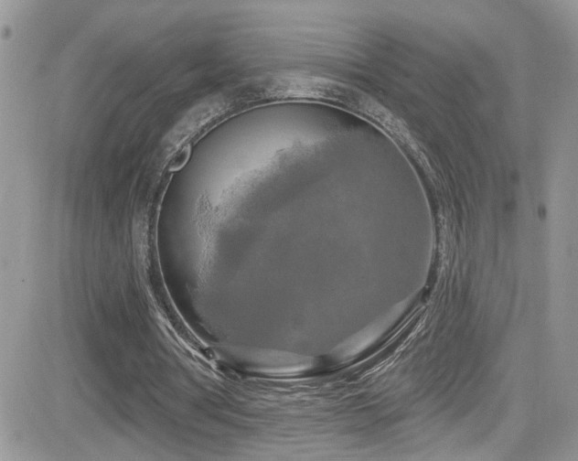 X0000082710386200701261316
