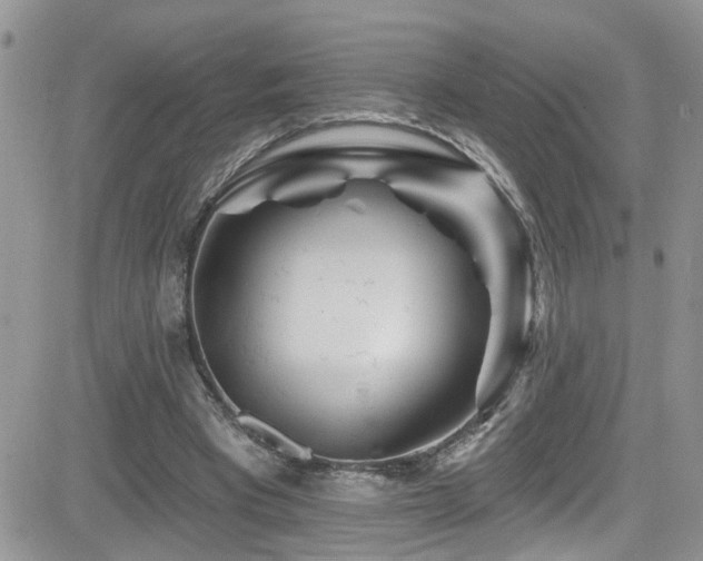 X0000082710393200701261316