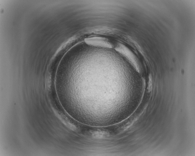 X0000082710400200701261316