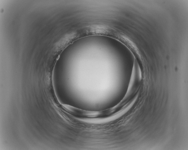X0000082710401200701261316