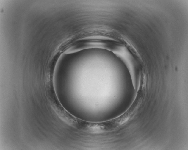 X0000082710407200701261316