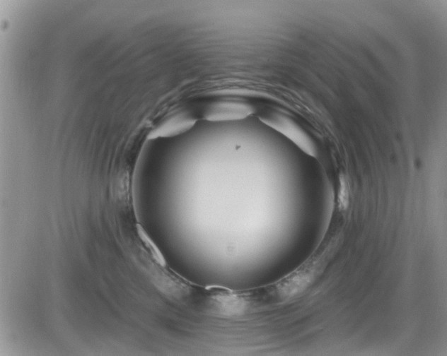 X0000082710425200701261315