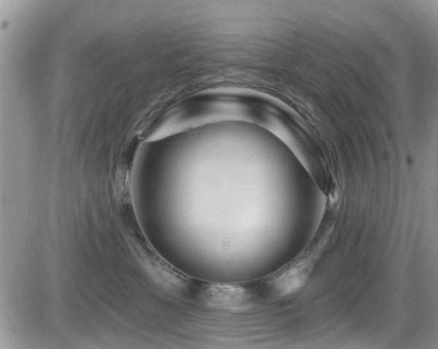 X0000082710429200701261315