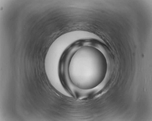 X0000082710432200701261315