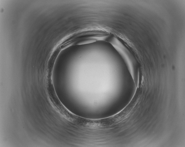 X0000082710440200701261315