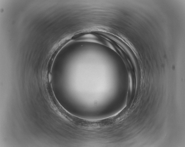 X0000082710485200701261314