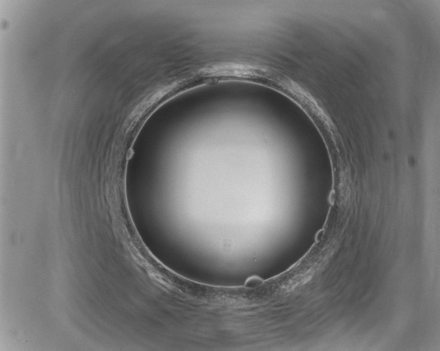 X0000082710529200701261313