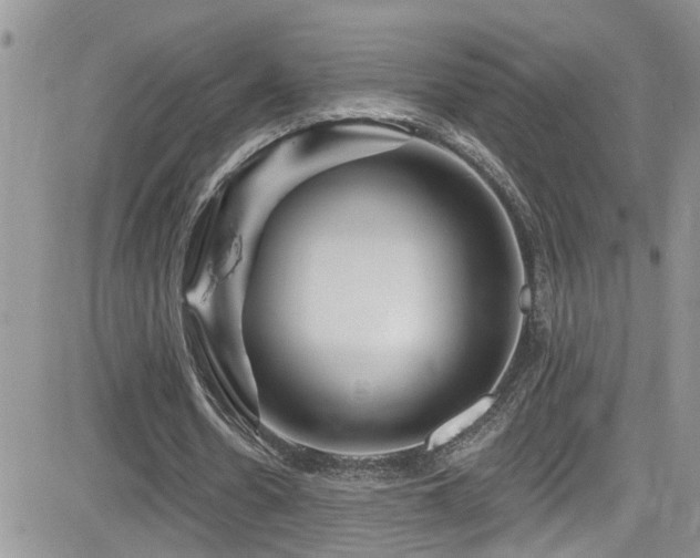 X0000082710530200701261313