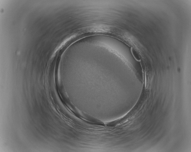 X0000082710531200701261313