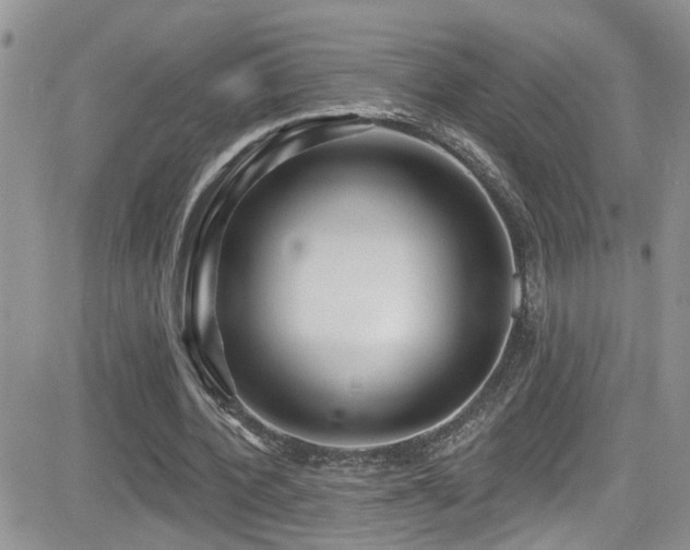 X0000082710532200701261313