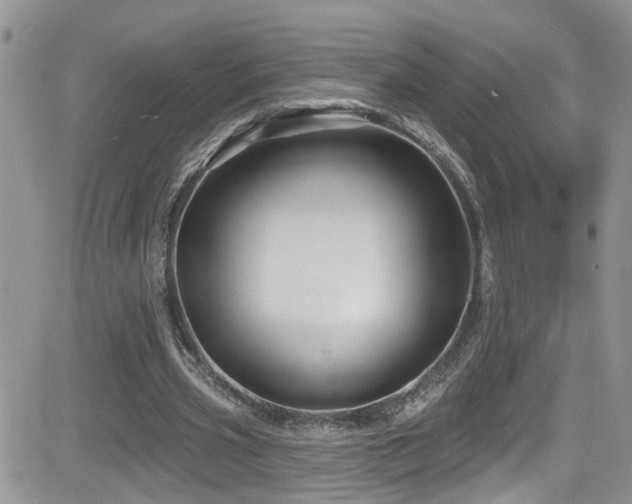 X0000082710533200701261313