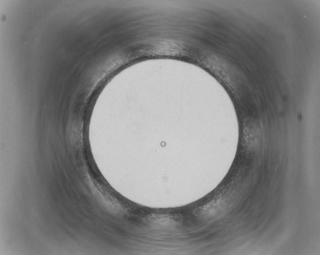 X0000082710534200701261313